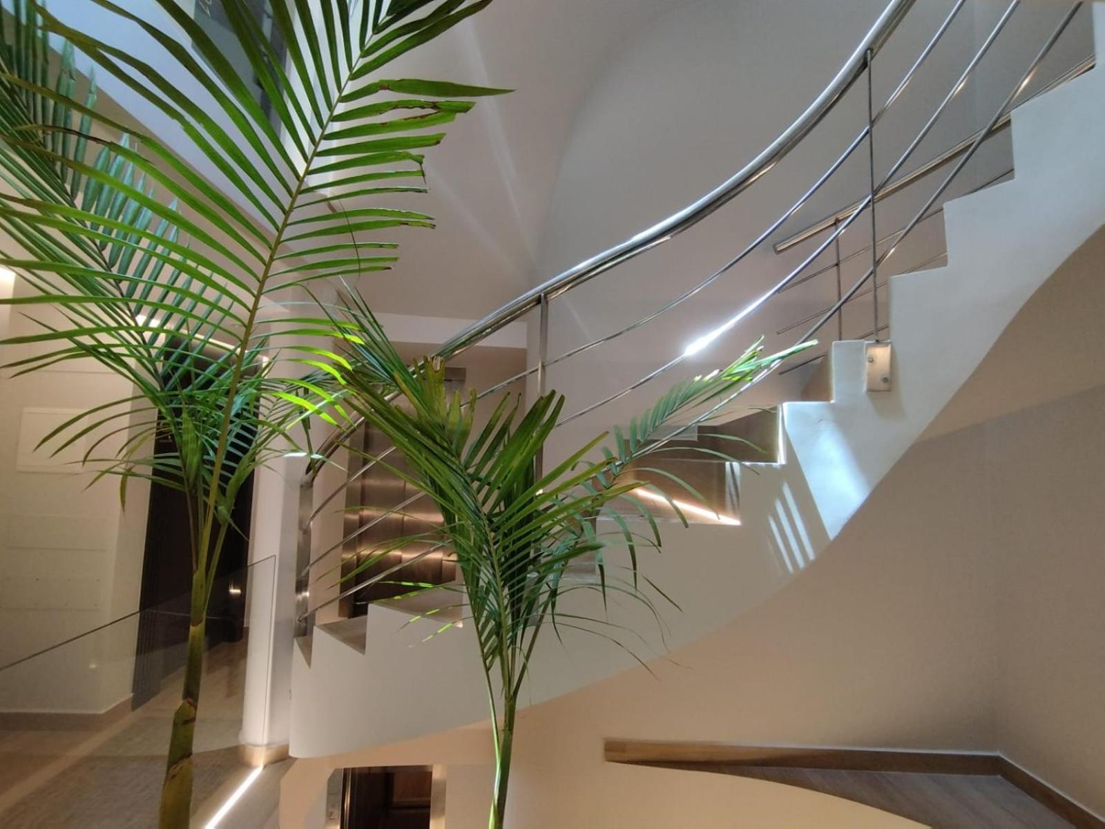 Plaza Rooms Totana Extérieur photo